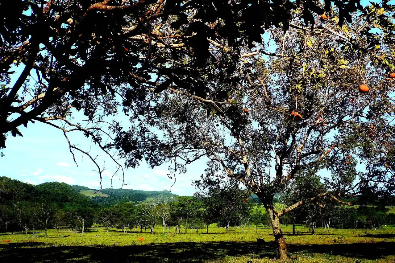 Umwelt/Natur & Nachhaltigkeit